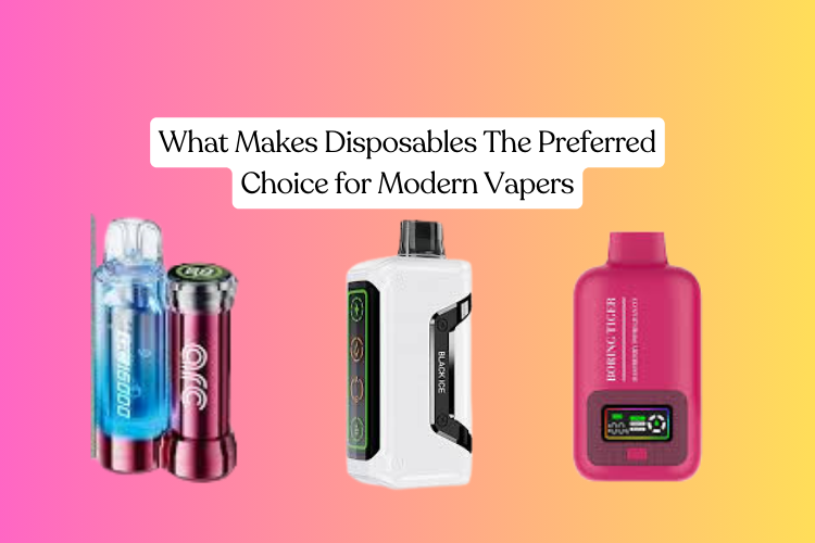 What Makes Disposables The Preferred Choice for Modern Vapers