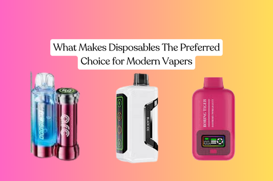 What Makes Disposables The Preferred Choice for Modern Vapers