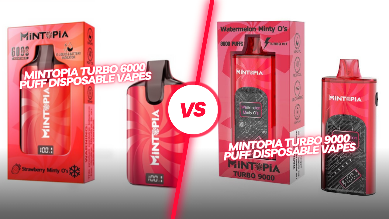 A Puff-by-Puff Comparison of Mintopia 6000 Puff and Mintopia Turbo 900 Apvs A Puff-by-Puff Comparison of Mintopia 6000 Puff and Mintopia Turbo 900 Apvs