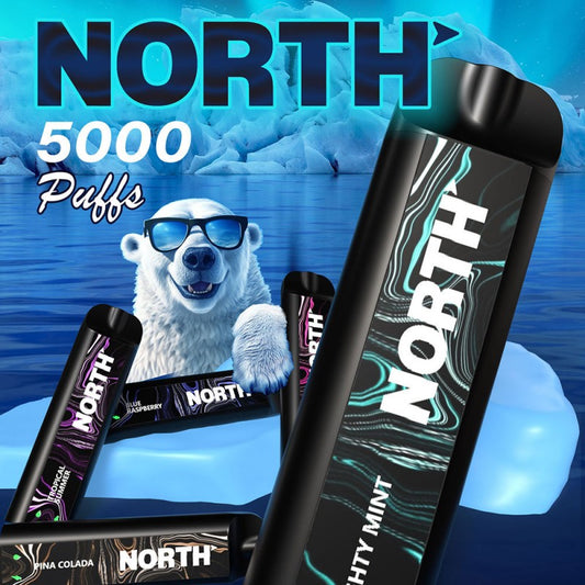 North 5000 Puffs Disposable Vape Device