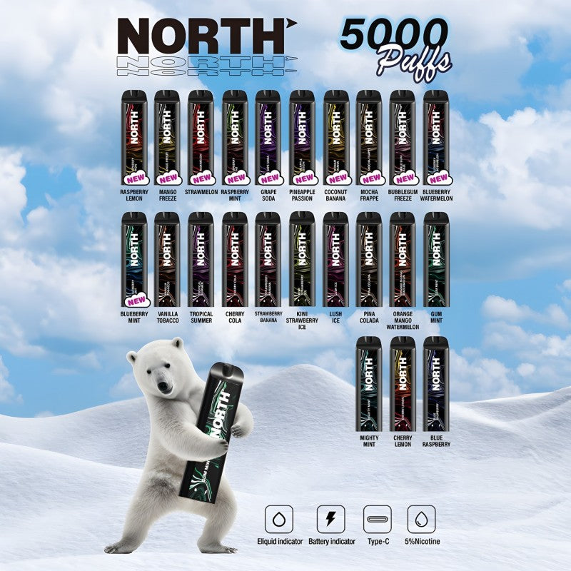North 5000 Puffs Disposable Vape Device