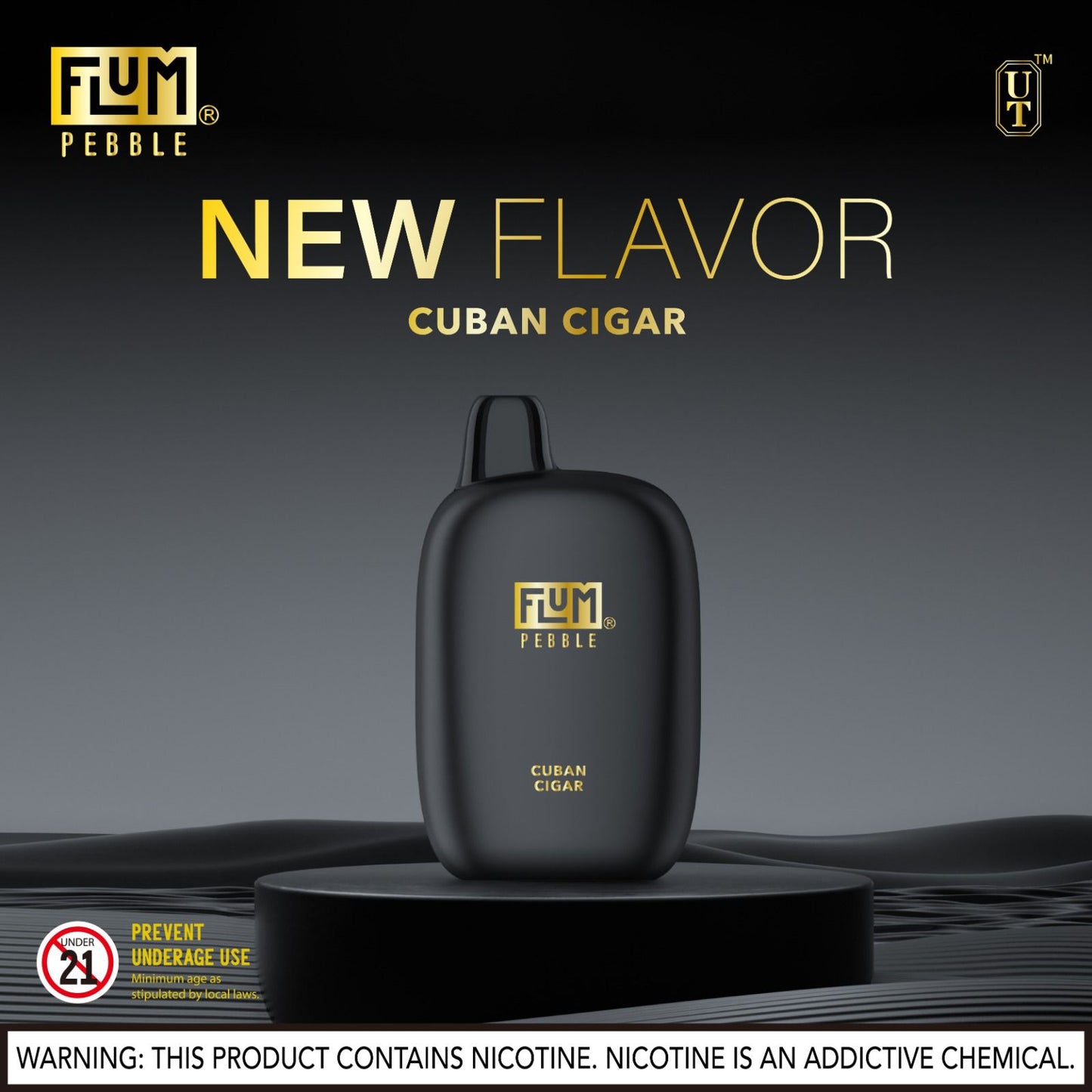 Flum Pebble Vape 6000 Puffs Disposable Device