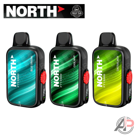 North FT12000 Puffs Disposable Vape Device