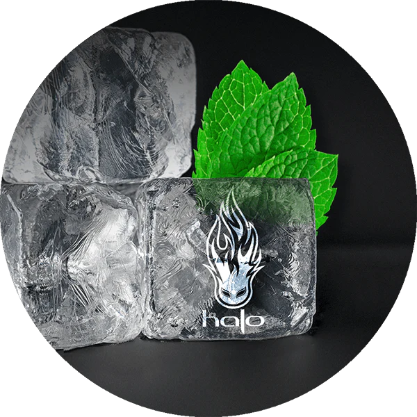 Halo Menthol Ice E-Liquid 60ml 12 Bottle Bundle Box