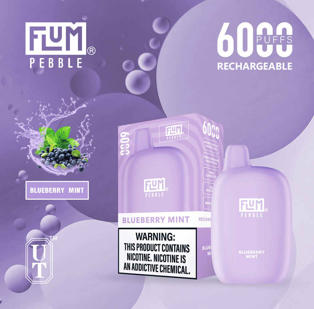 Flum Pebble Vape 6000 Puffs Disposable Device