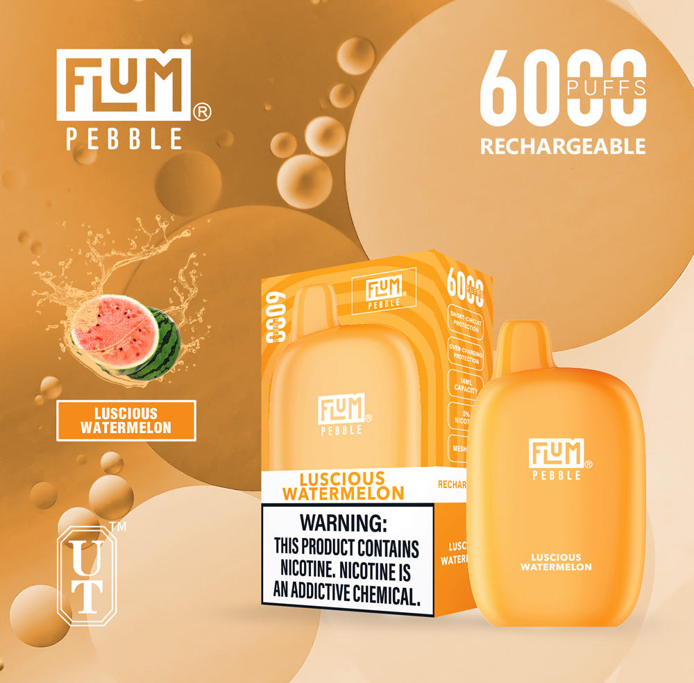 Flum Pebble Vape 6000 Puffs Disposable Device