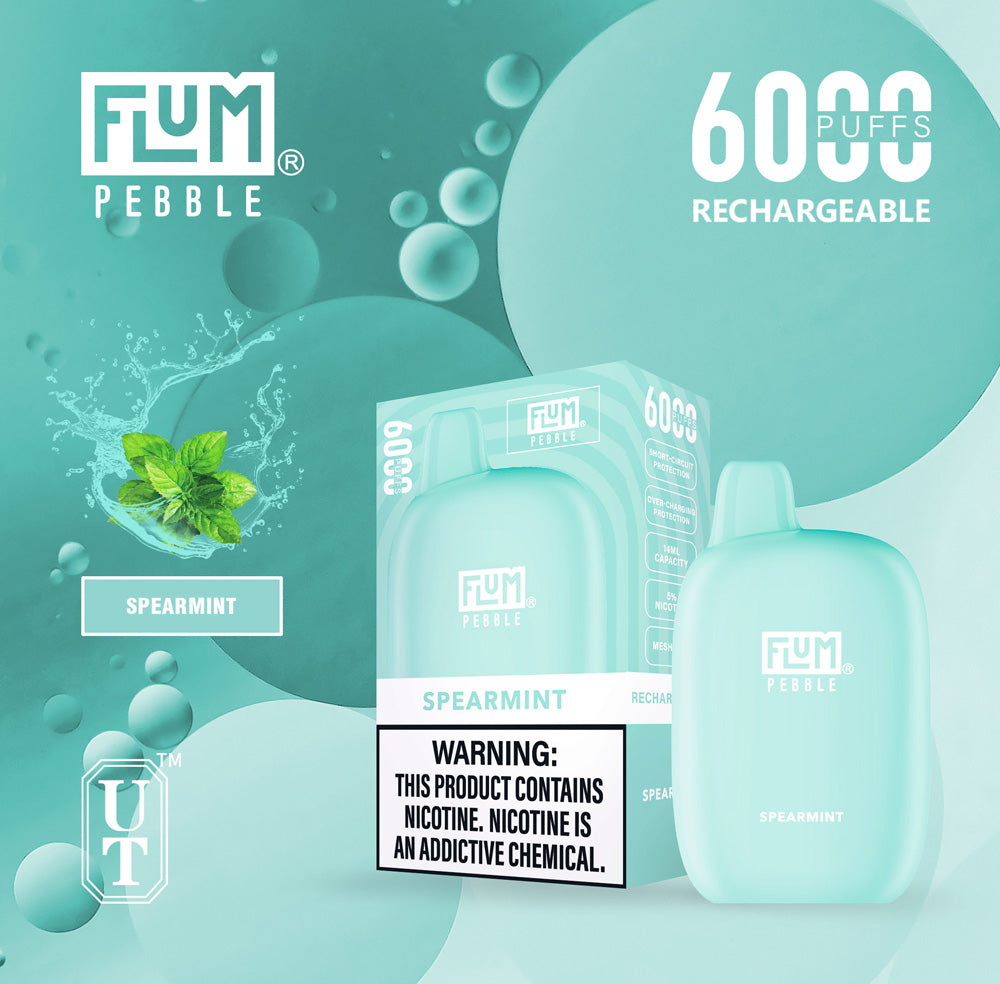 Flum Pebble Vape 6000 Puffs Disposable Device