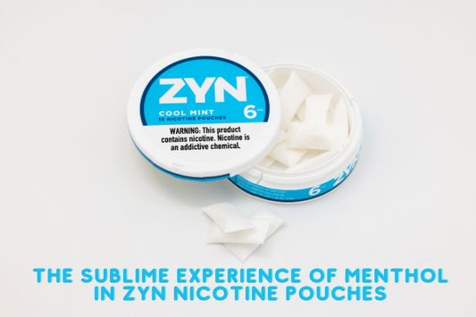 Arctic Escape: The Sublime Experience of Menthol in Zyn Nicotine Pouches