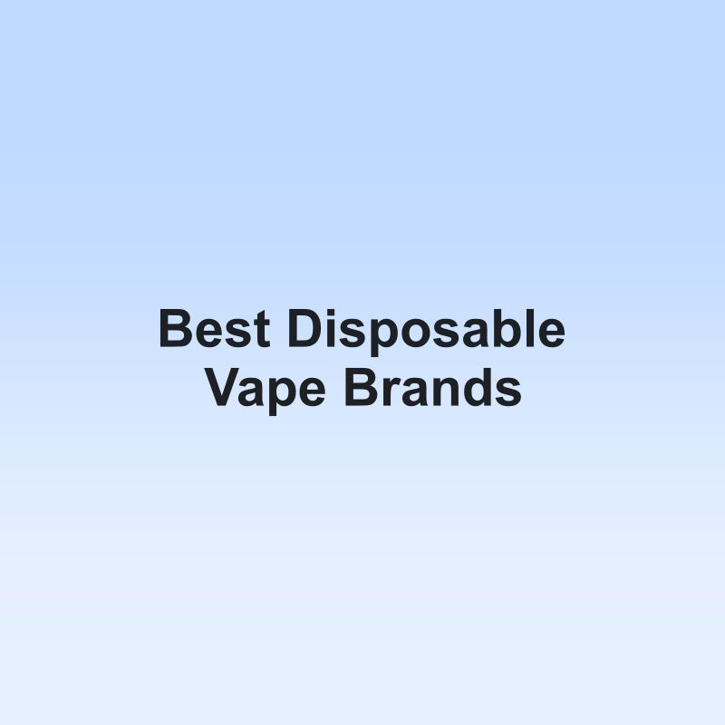 Best Disposable Vape Brands