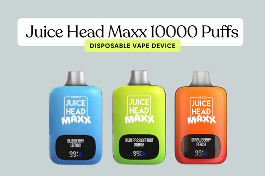 When Longevity Meets Flavor: Juice Head Maxx 10000 Puffs Guide