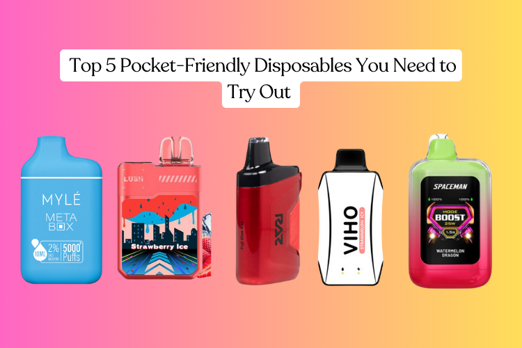 Top 5 Pocket-Friendly Disposables You Need to Try Out