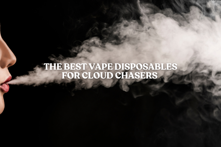 The Best Vape Disposables for Cloud Chasers – Apvs