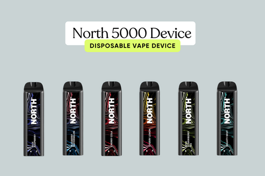 The North 5000 Device: Innovation Meets Performance in Vaping