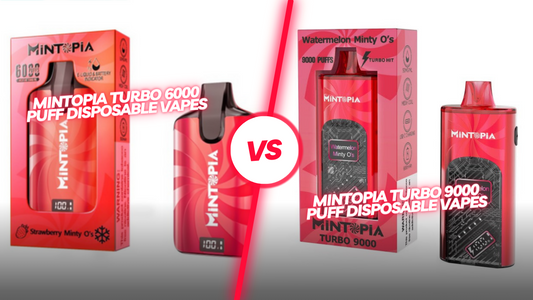 A Puff-by-Puff Comparison of Mintopia 6000 Puff and Mintopia Turbo 9000 Puff Disposable Vapes