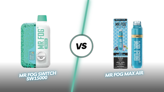 A Detailed Comparison: Mr Fog Switch SW15000 vs. Mr Fog Max Air MA8500