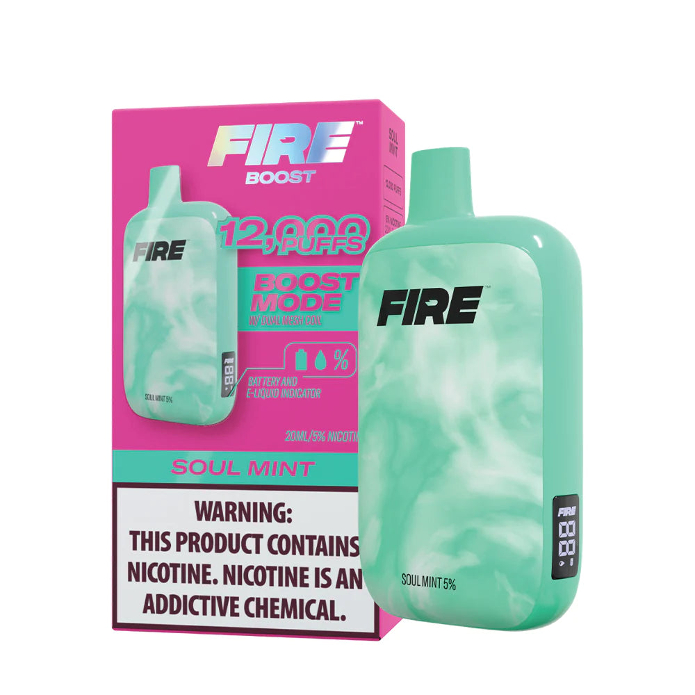 Fire Boost 12000 Puff Disposable Vape Device