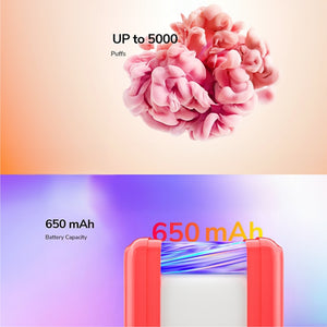 Lost Mary BM5000 Disposable Vape Device