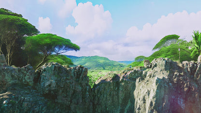 Viho Trx 50K Puffs Disposable Vape Device