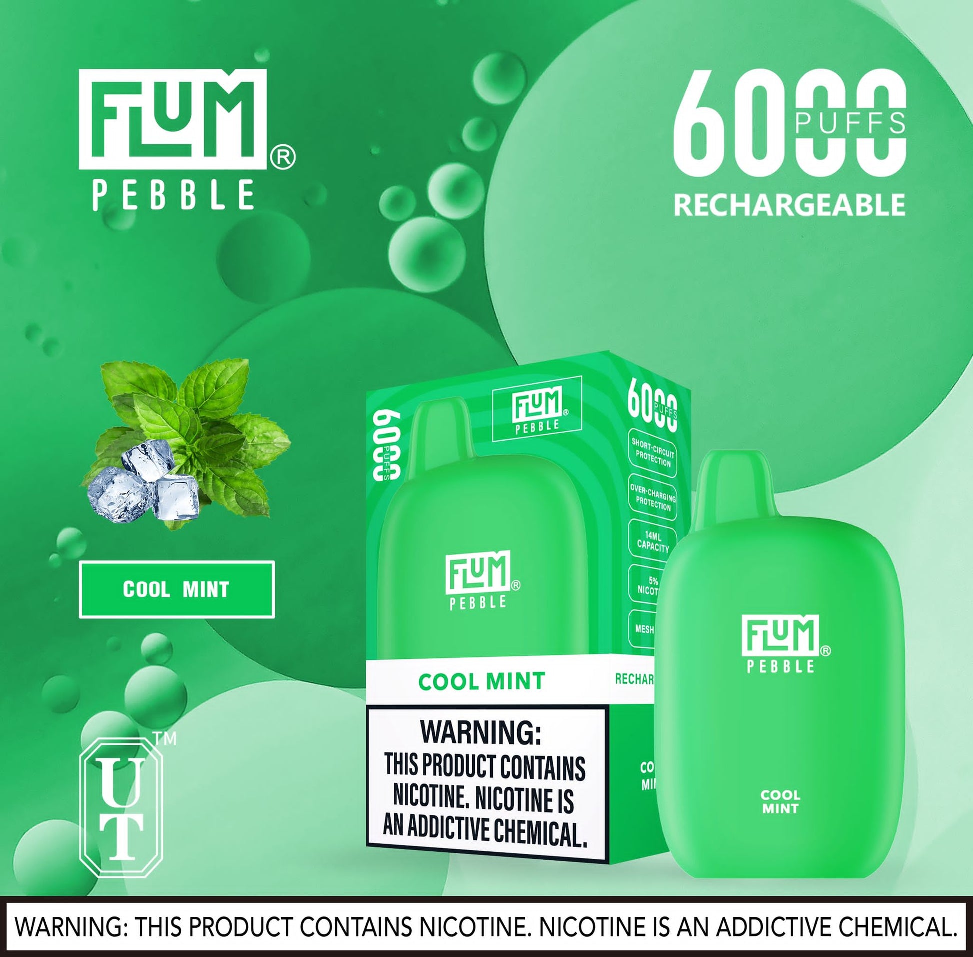 Flum Pebble Vape 6000 Puffs Disposable Device Cool Mint