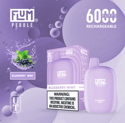 Flum Pebble Vape 6000 Puffs Disposable Device Blueberry Mint