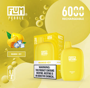 Flum Pebble 6000 Puff Disposable Vape Device Mango Icy