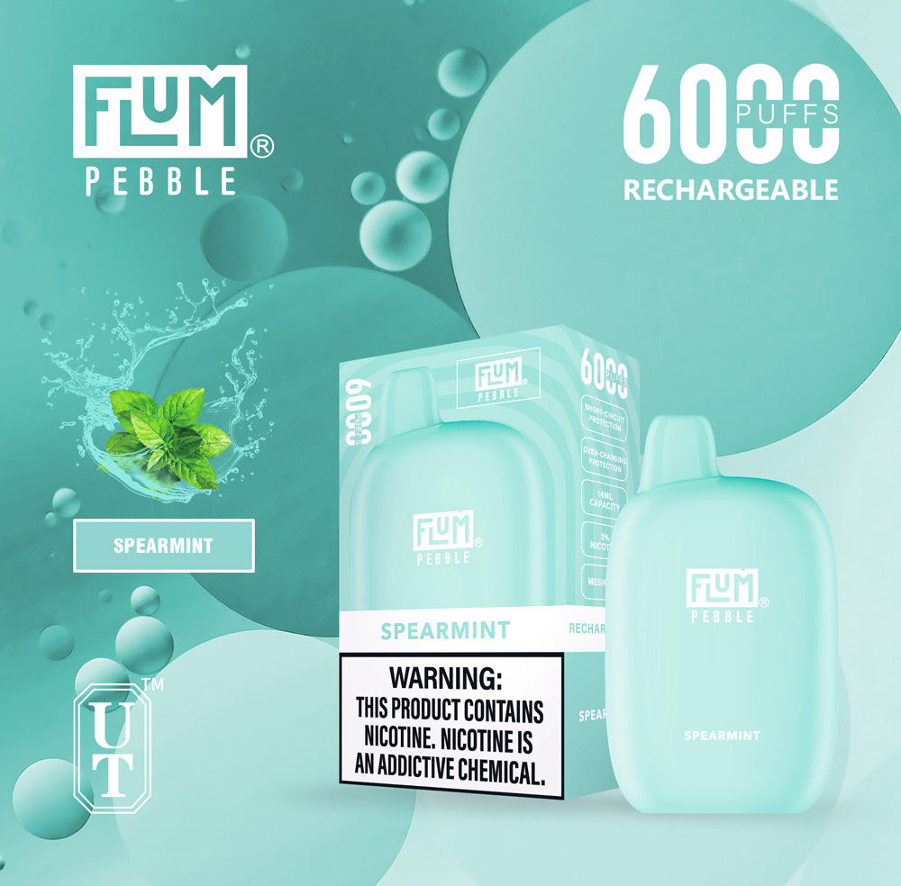 Flum Pebble Vape 6000 Puffs Disposable Device Spearmint