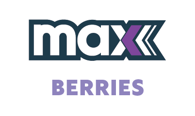 Naked 100 MAX - Berries Ice 30ml
