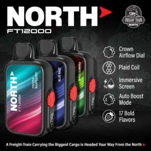 North FT12000 Puffs Disposable Vape Device