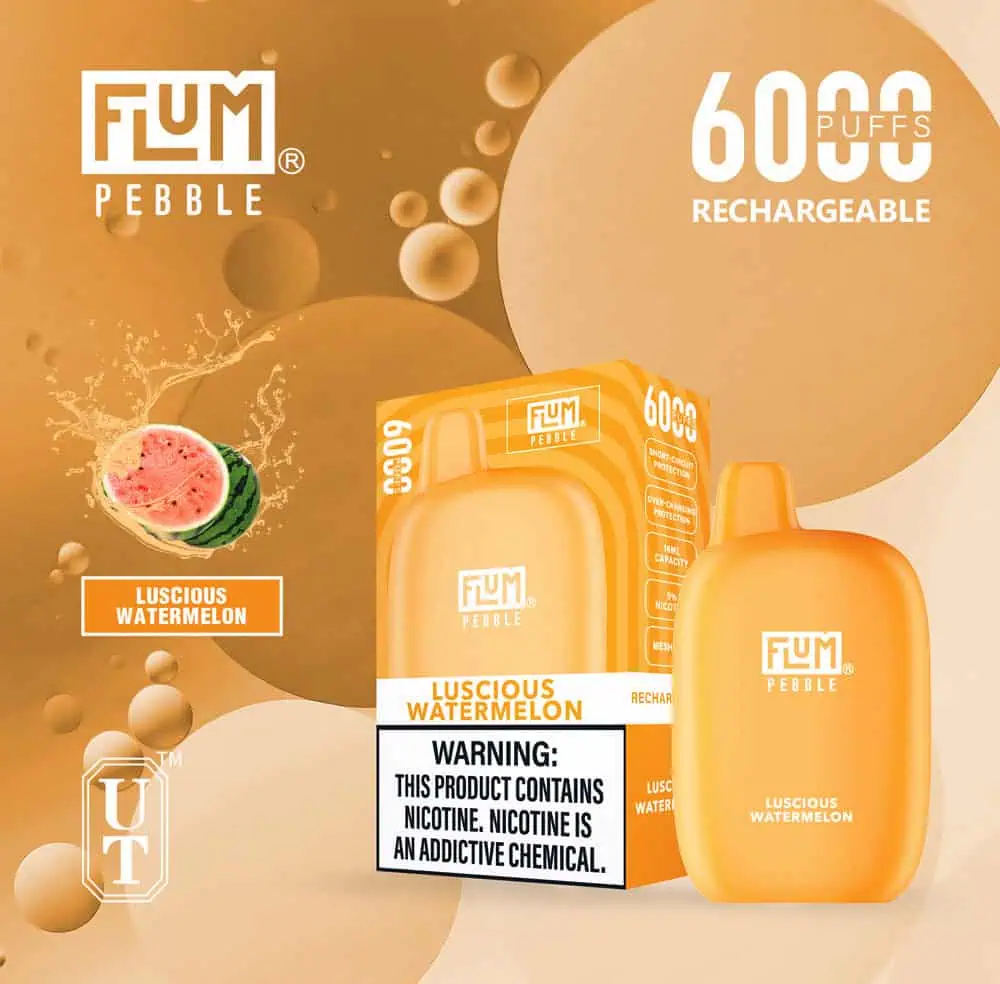 Flum Pebble Vape 6000 Puffs Disposable Device